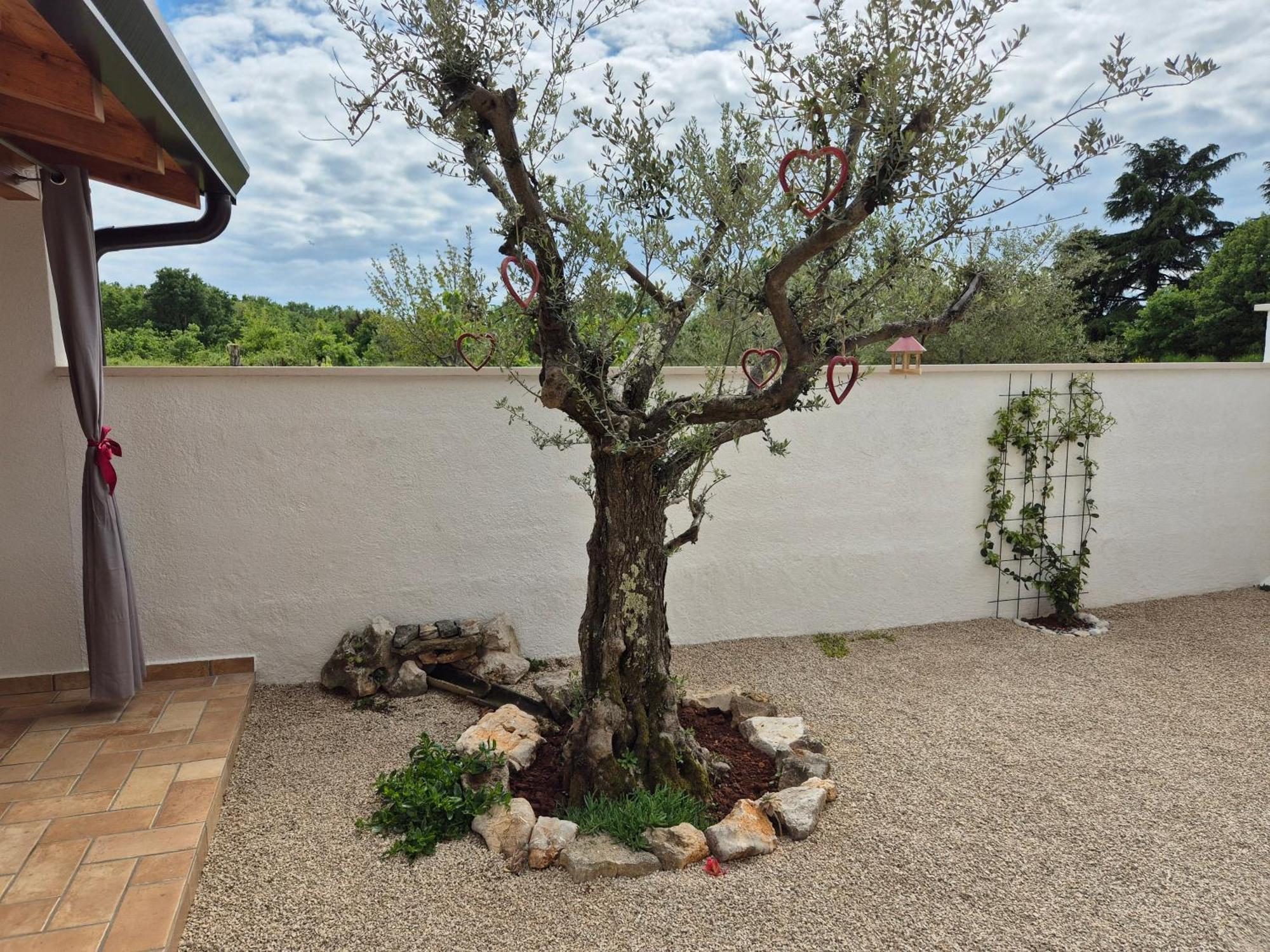 Apartment Vinja Porec - Privat Garden - Whirlpool Екстер'єр фото