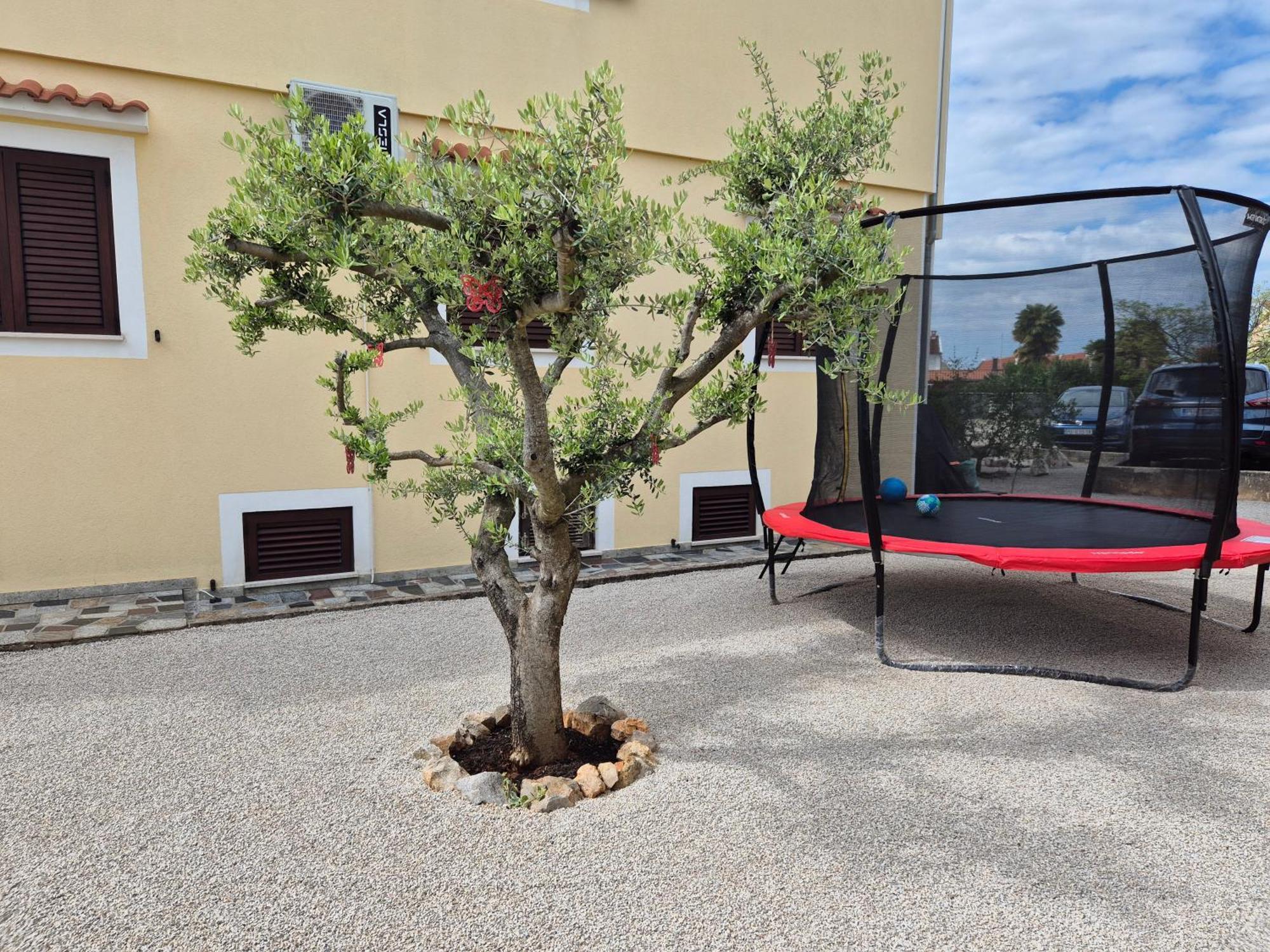 Apartment Vinja Porec - Privat Garden - Whirlpool Екстер'єр фото